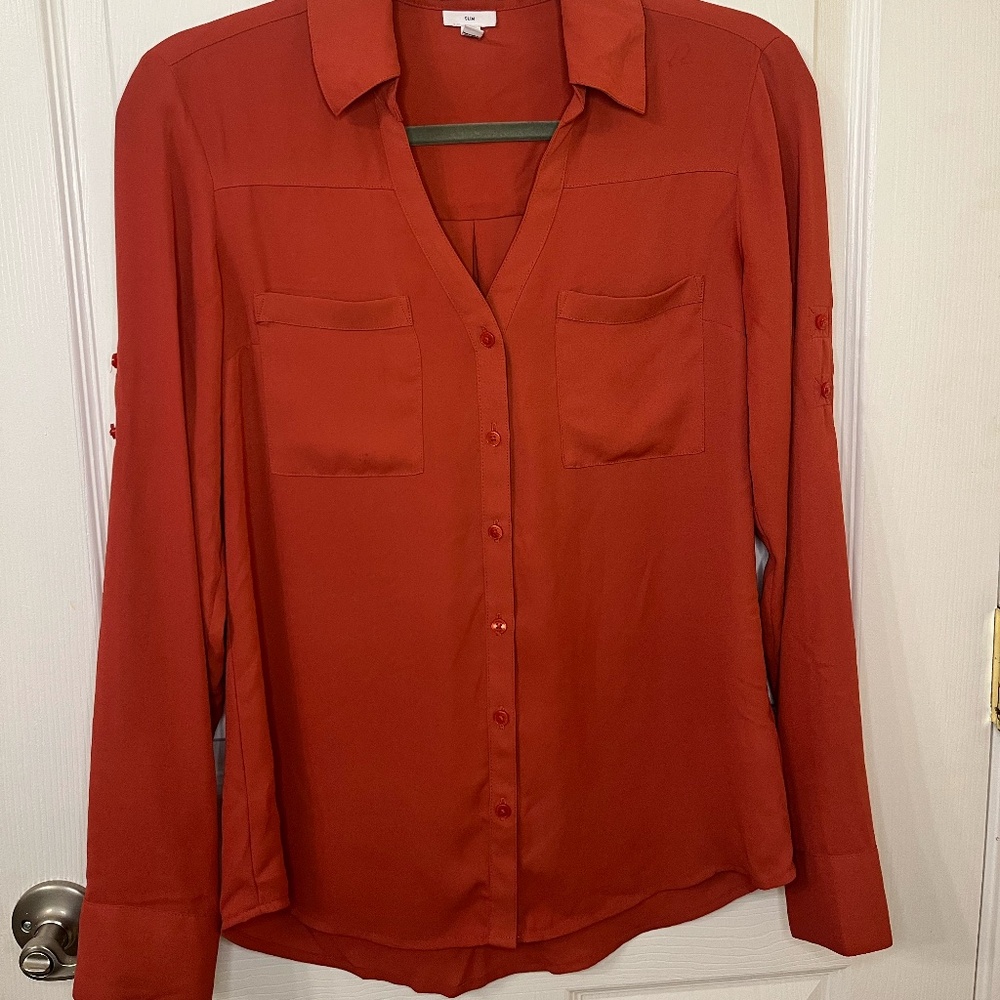 Express S Portofino Rust Blouse